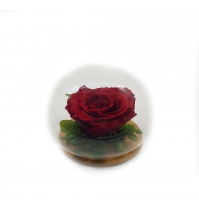 Cupola rotunda mica cu hertensie si trandafir rosu criogenat