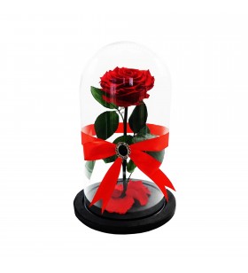 Trandafir Criogenat XXL Rosu, Cupola De Sticla Mare 32/18cm, Criofora