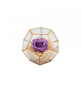 Terariu hexagon, Crioflora, trandafir mov criogenat