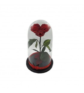 Cupola sticla cu trandafir criogenat rosu in forma de inima 27/15cm