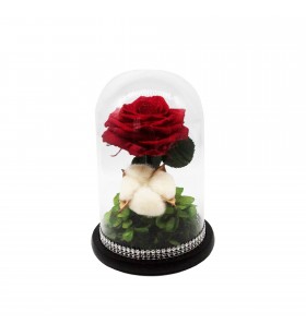 Cupola de sticla, Crioflora, cu trandafir rosu si hortensie criogenata