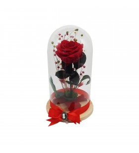 Trandafir criogenat mare rosu, cupola de sticla, 27/15cm, Crioflora