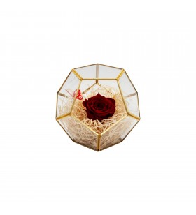 Terariu hexagon, Crioflora, trandafir rosu criogenat